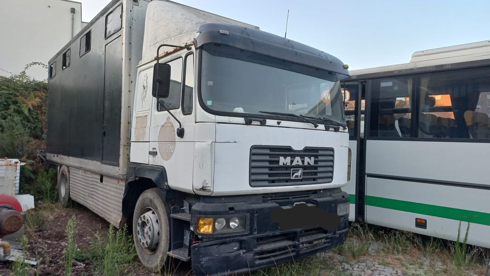 MAN 19-372 transporte cavalos