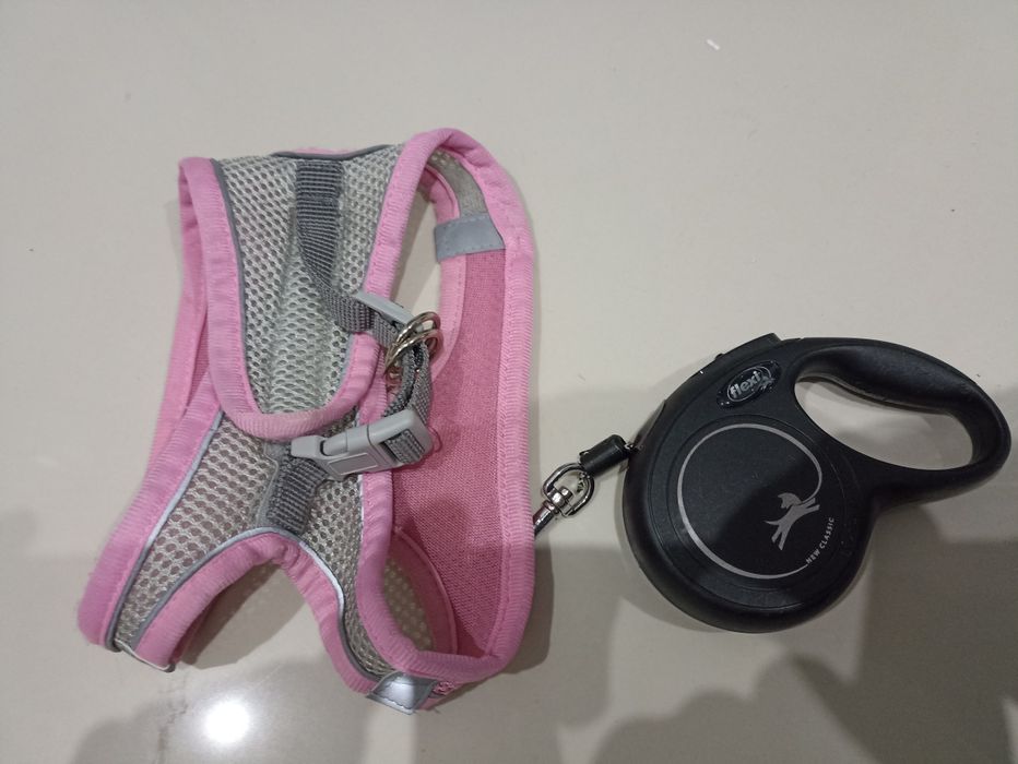 Szelki + smycz Flexi rozm S linka