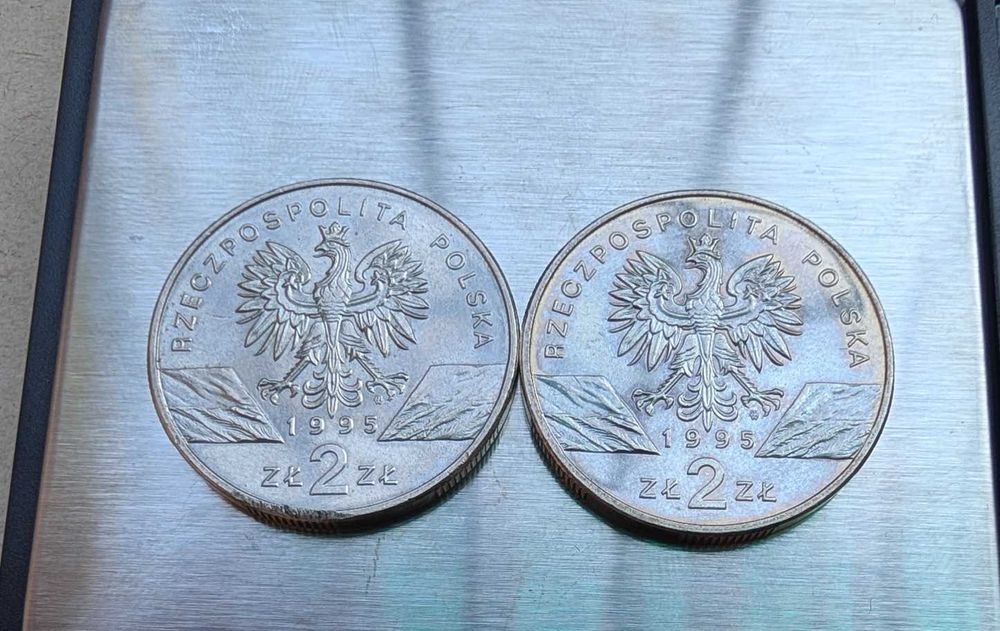 2 zł Sum 1995 r tanio