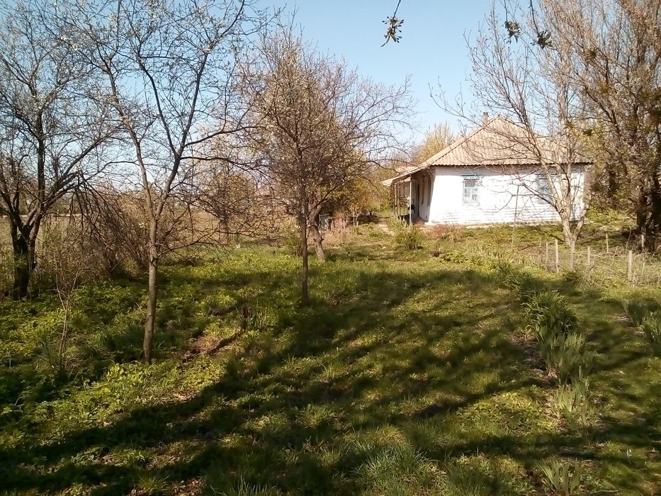 Продажа участка 53сотки