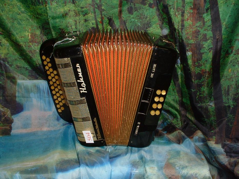 Concertina n. 504