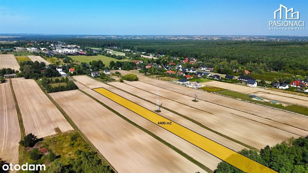 Działka rolna Prawiedniki-Kolonia - 4400 m² - Widok 2