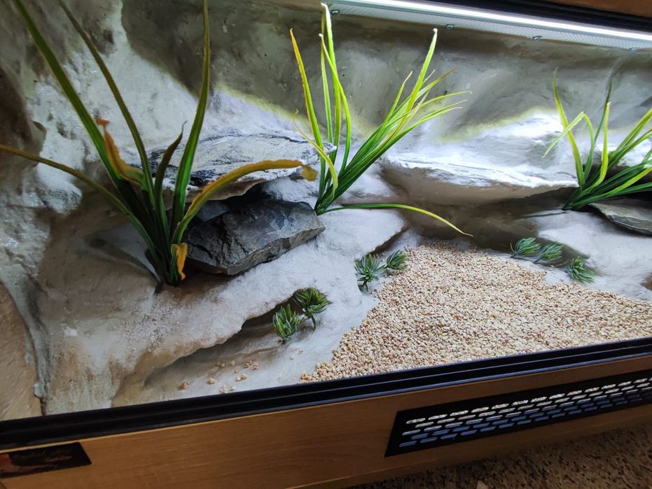 Terrarium 100x40x40 dla gekonów lamparcich PETMARKET