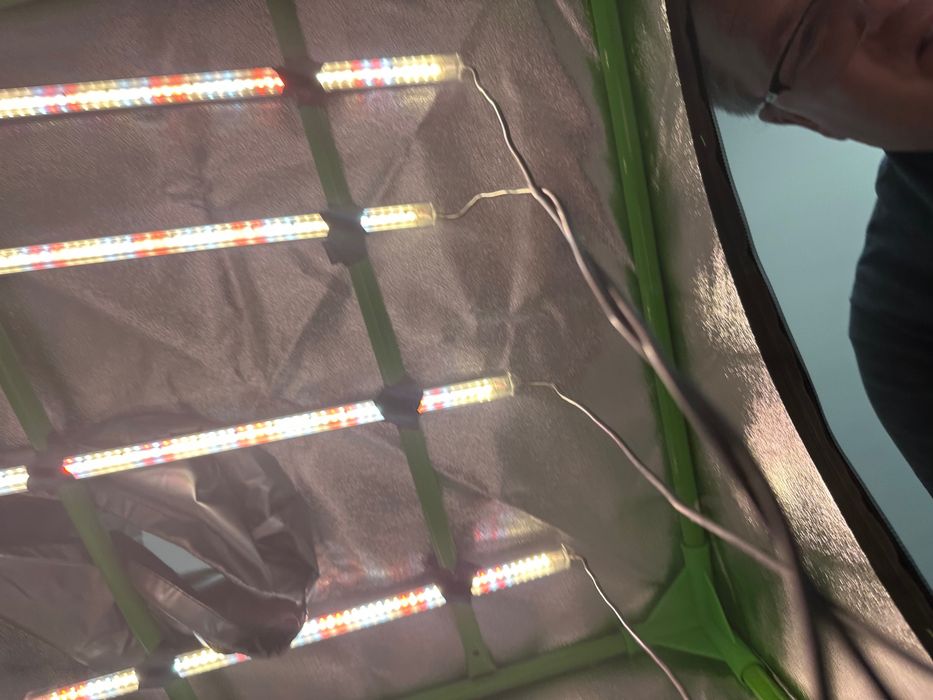Estufa para criar plantas em casa