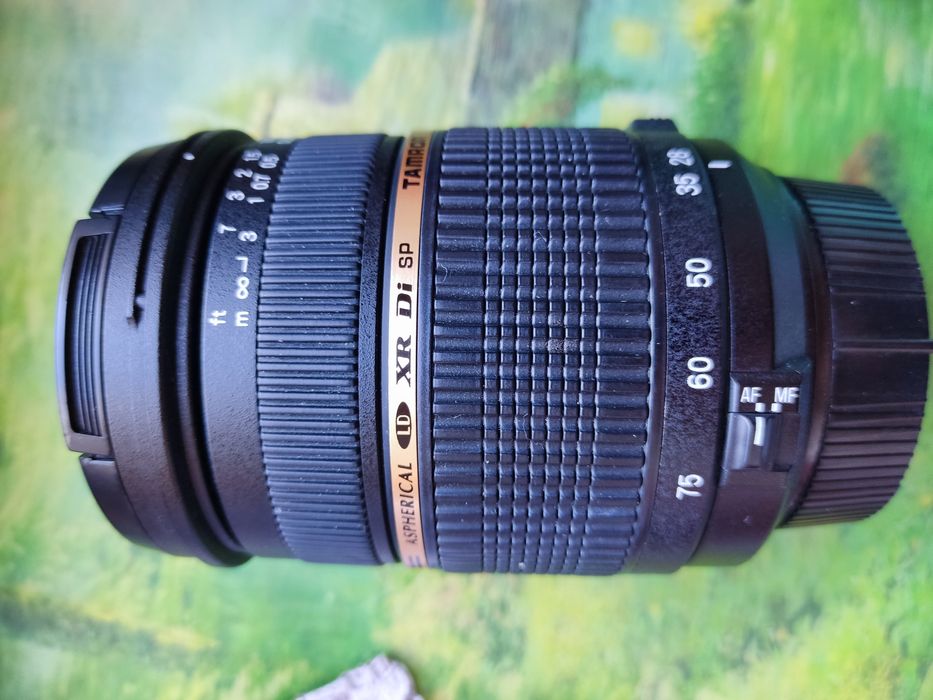 Nikon D70+tamron 28-75 f2.8