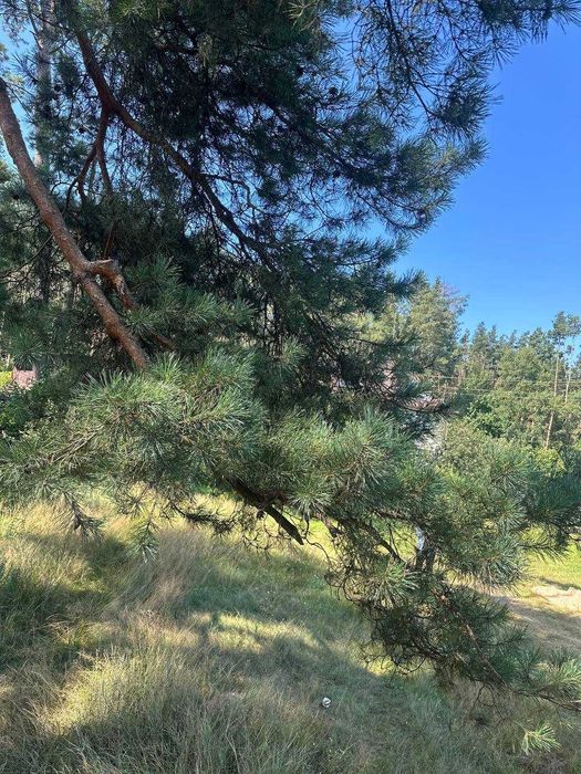 Без комісії! продаж будинка Lubo Village