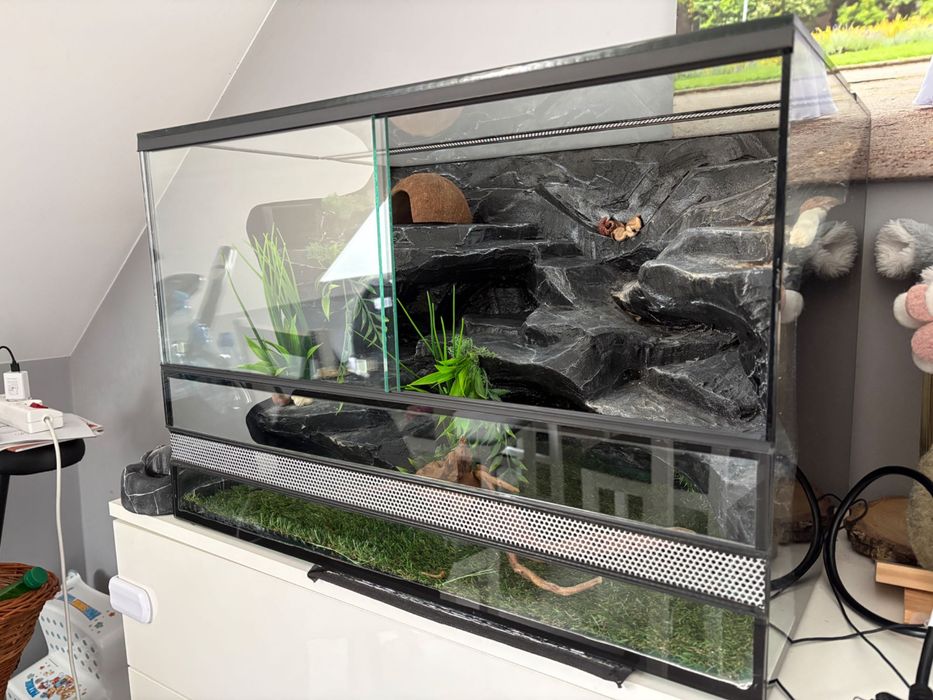 Terrarium dla gada lub innego zwierzaka