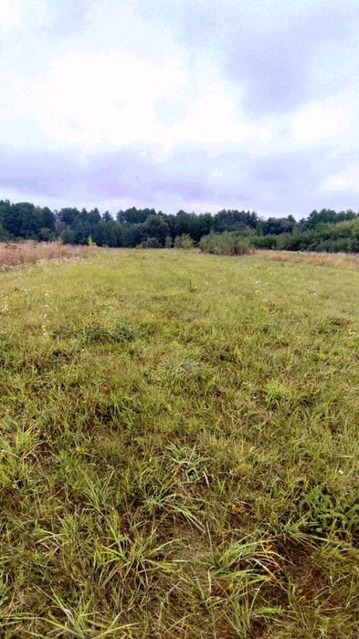 Продаж в с. Гуменники (15 км.від м. Коростишів) будинку та ділянки 25 сот.