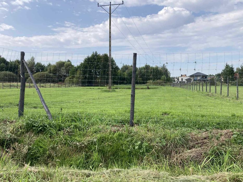 20 zł/mb - Ogrodzenie Twojego terenu — siatką leśną!