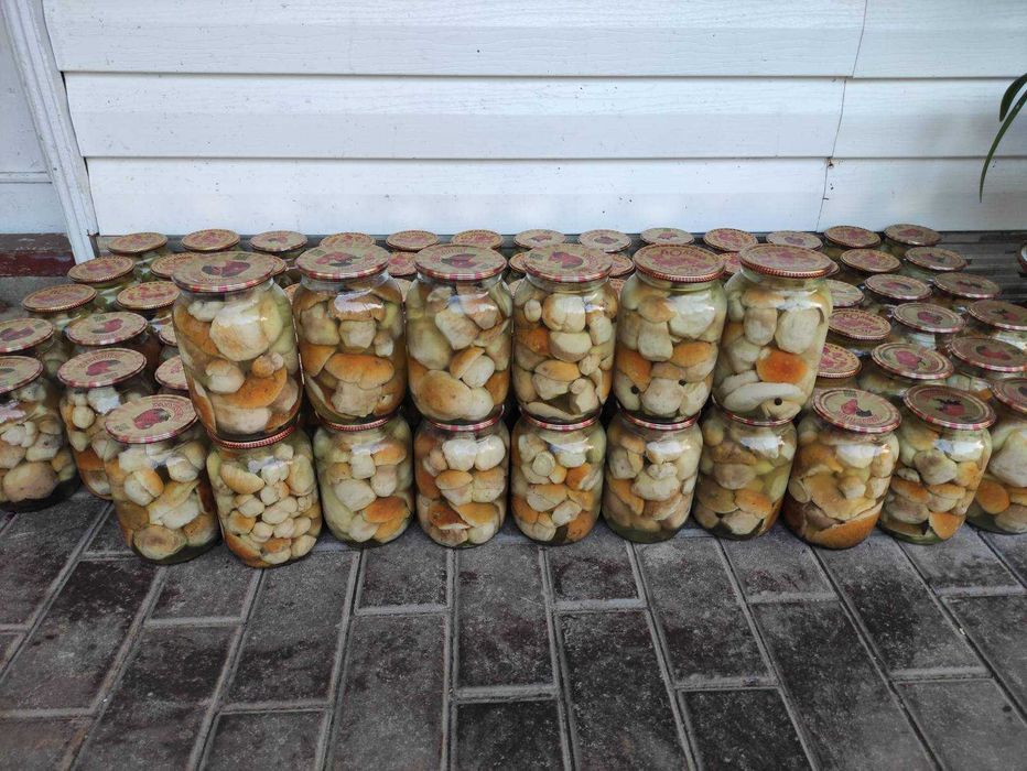 Гриби білі мариновані і сухі білі і брусніка  2025 рік