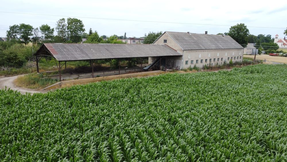 SPRZEDAM Gospodarstwo rolne - 30 ha