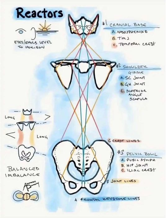 MASAŻE uzdrawiające. SKUTECZNA terapia.