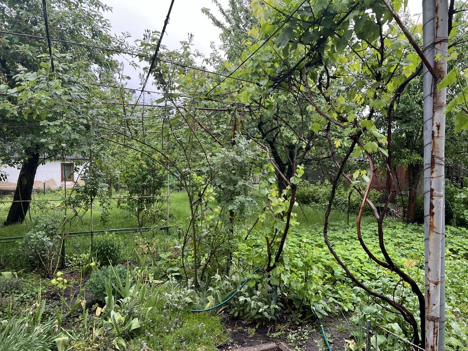 Продаж будинку з утемленням