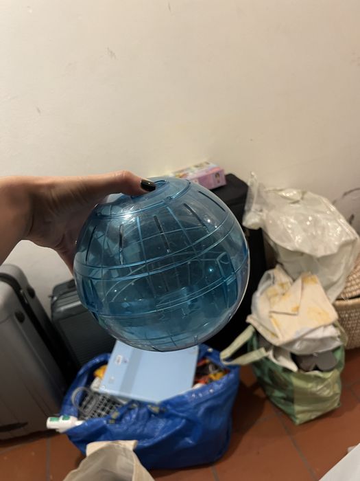 Bola hamster exercicio