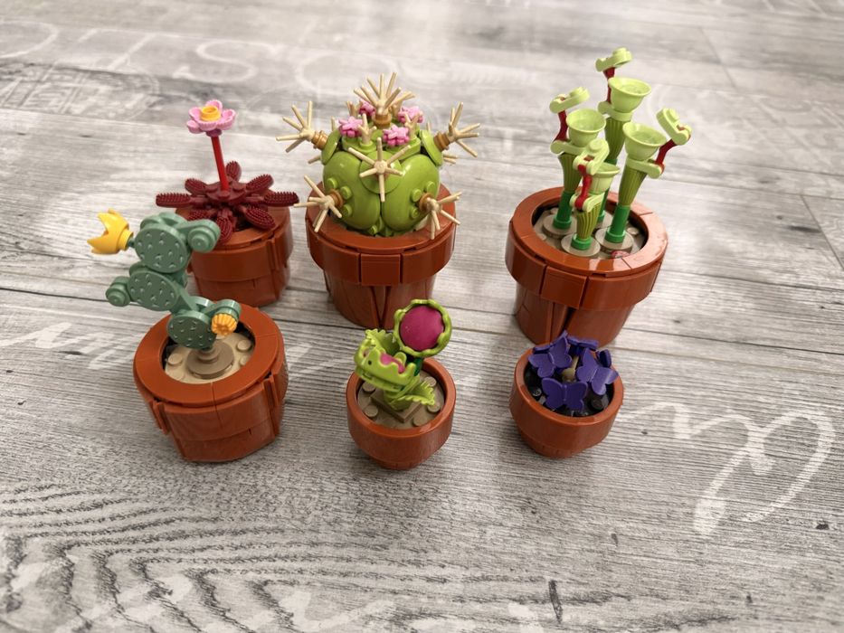 Zestaw LEGO Botanical Collection 10329 Małe Roślinki
