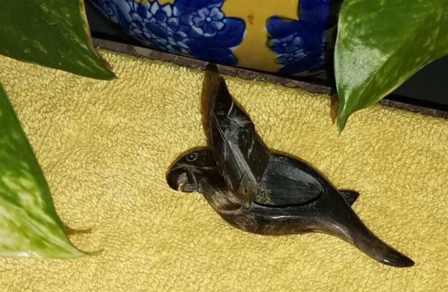 Raríssima caixa de Rapé/Tabaco esculpida em chifre.