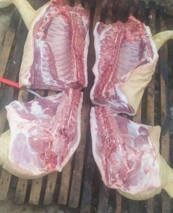 Свиня, мясо свині