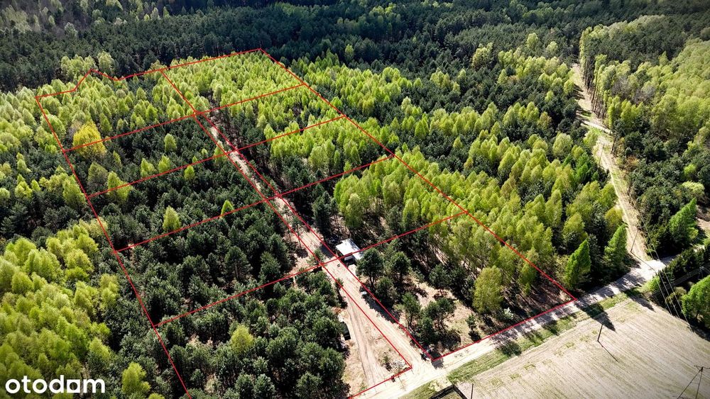 Leśne działki przy Poleskim Parku, cisza, warunki zabudowy