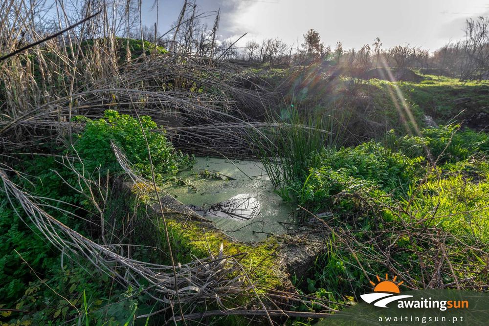 Quinta com casa e água – 1 hectare natureza Serra da Estrela