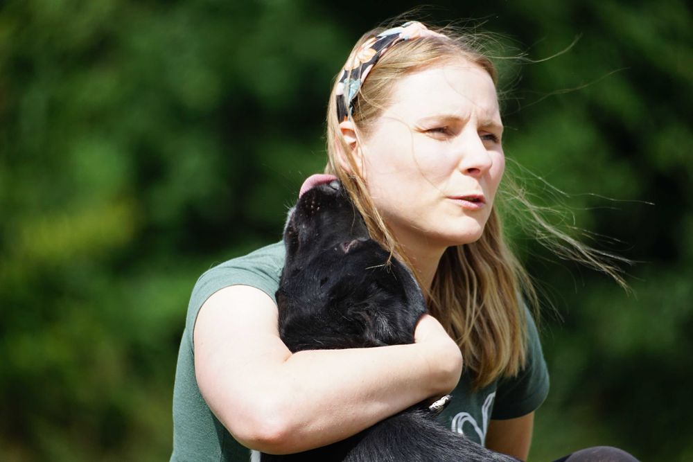 Tyszek - młody, wesoły pies szuka domu