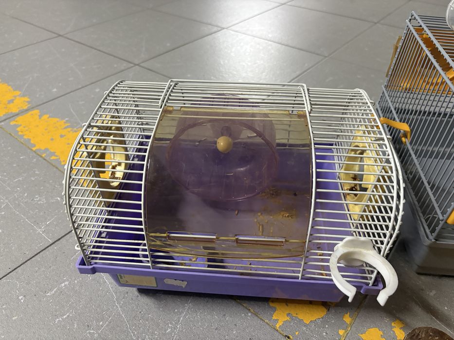 2 gaiola de hamster