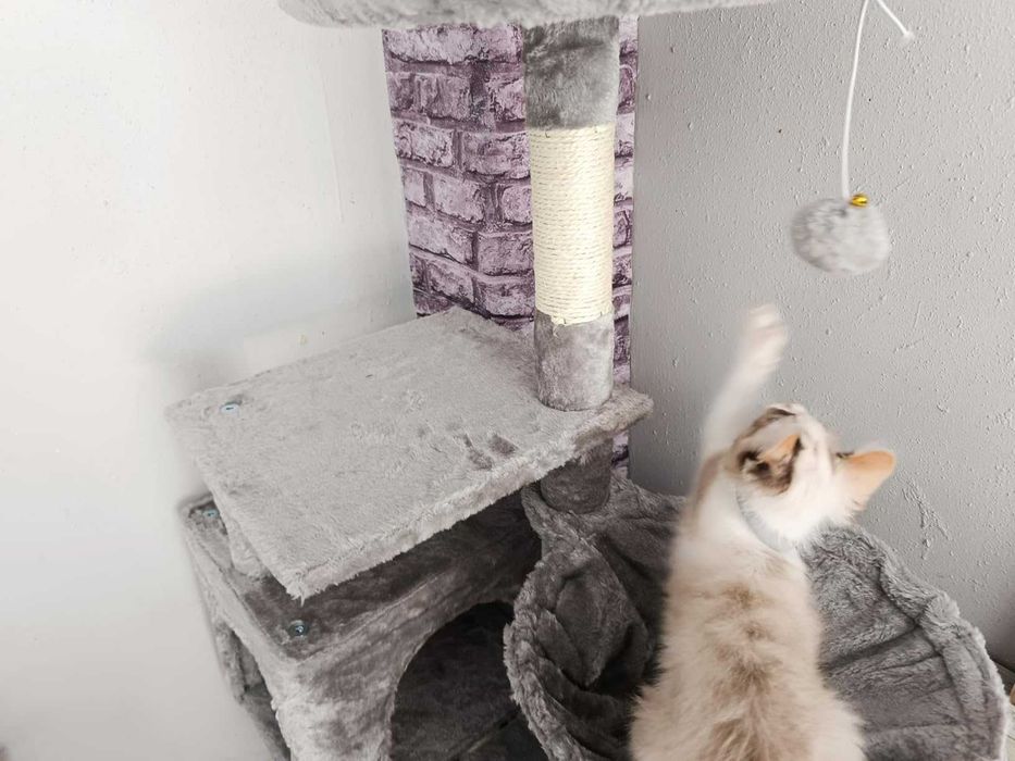 Wysoki szary drapak dla kota domek słupek do drapania 111 cm