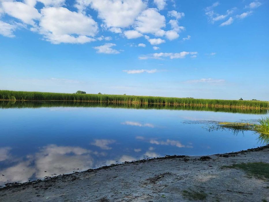 Дача біля Води та Лісу для Відпочинку!