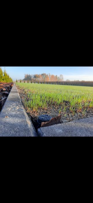 Uslugi ogrodnicze nie czekaj dzwon !!!