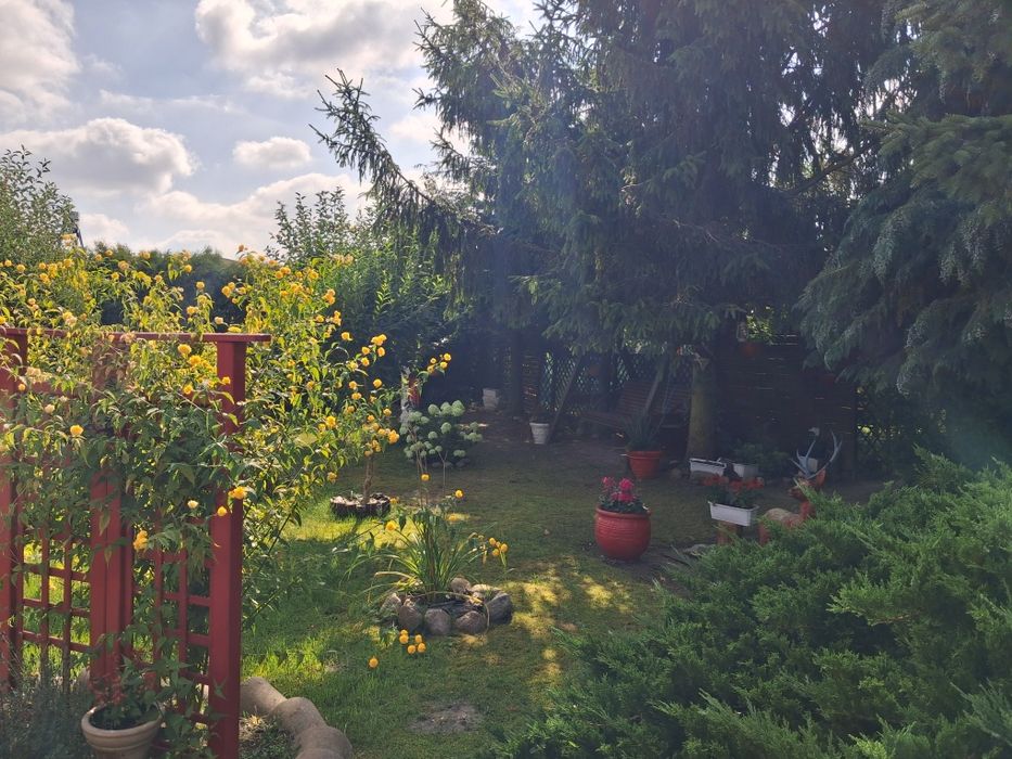 Dom z garażami i ogrodem