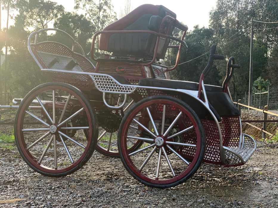 Charrete/ Maratona Competição