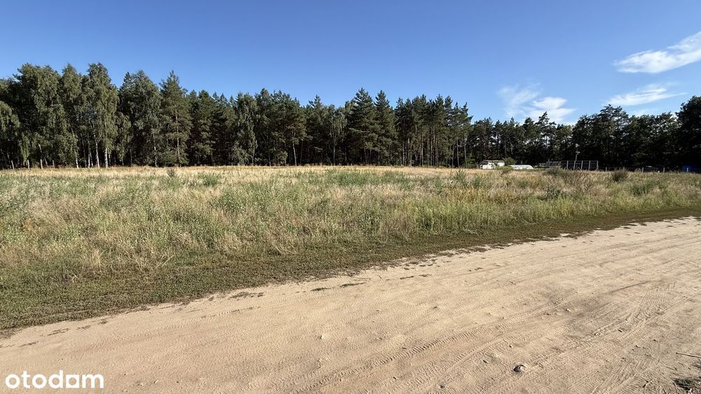 Atrakcyjna duża działka pod ząb.jednorodzinną-Pełczyce-Barlinek - Widok 4