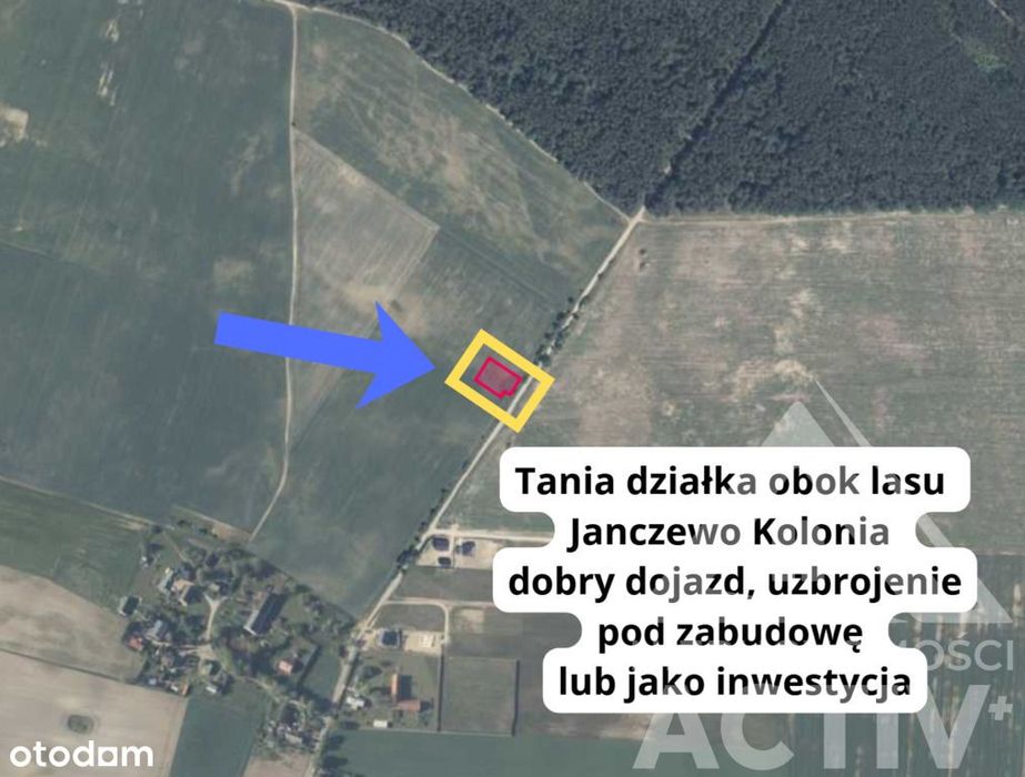 Tania działka budowl. obok lasu. Janczewo Kolonia