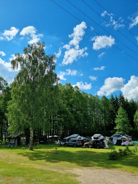 Pole namiotowe nad jeziorem Blizno w Atenach