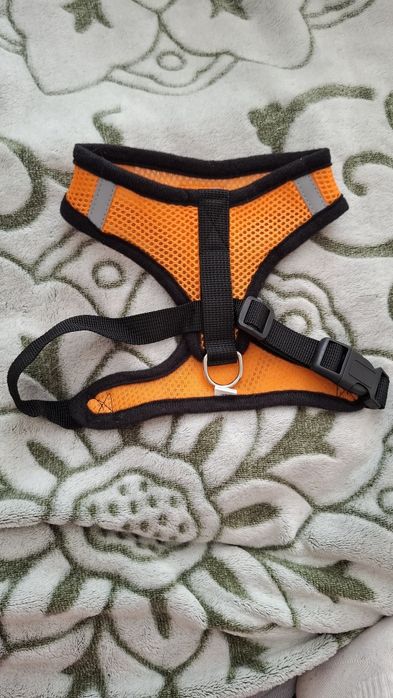 Шлея, жилет, поводок для собак