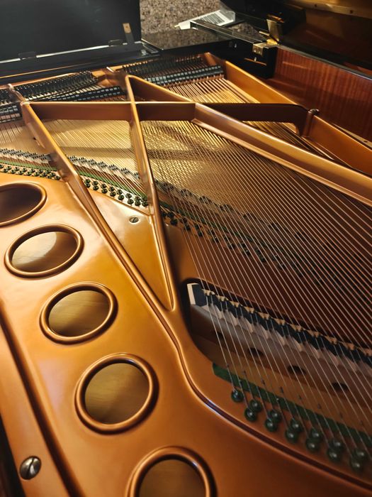 Piano de cauda Bösendorfer 200 rigorosamente impecável