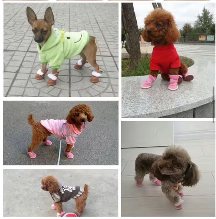 Взуття для собаки