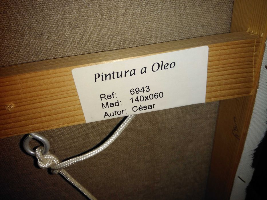 Oportunidade Pintura a Oleo: Corpo Feminino