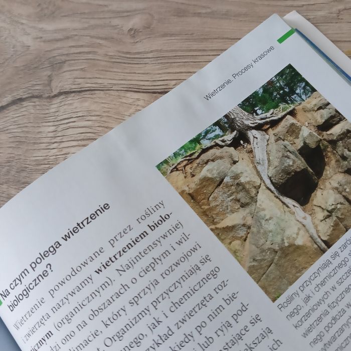 Podręcznik oblicza geografii 1