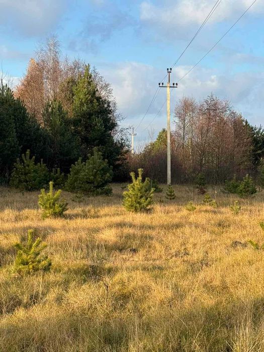 Земельна ділянка, с. Туринка