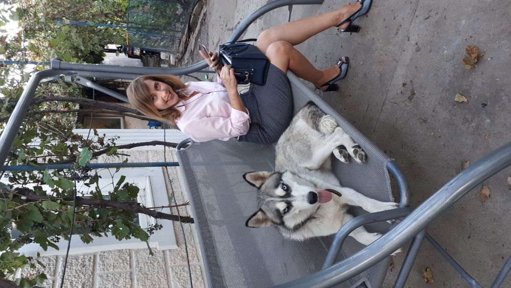 Хаскі красунчик кабель Марсель Вязка