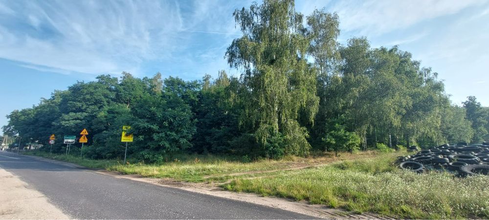 Działka leśna Las 1,28ha