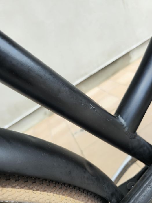 Holenderka Cortina L4