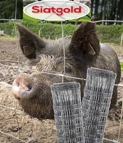 Siatka Leśna Ceny PRODUCENTA tylko 160zł za 50 mb z WYSYŁkĄ Ocynkowana