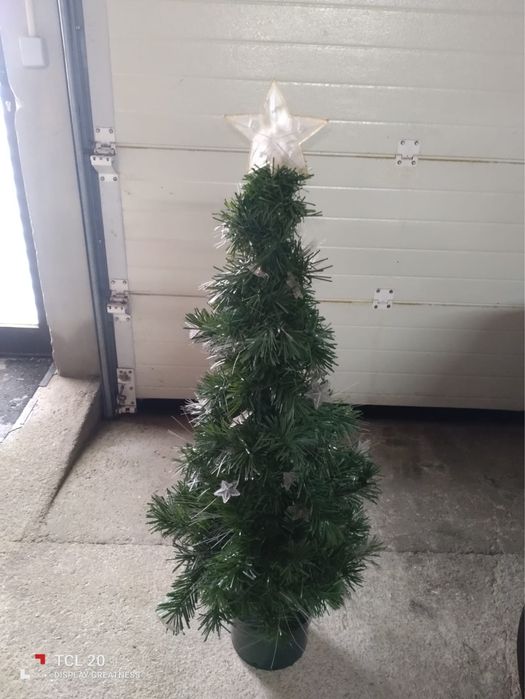 Pinheiro de Natal