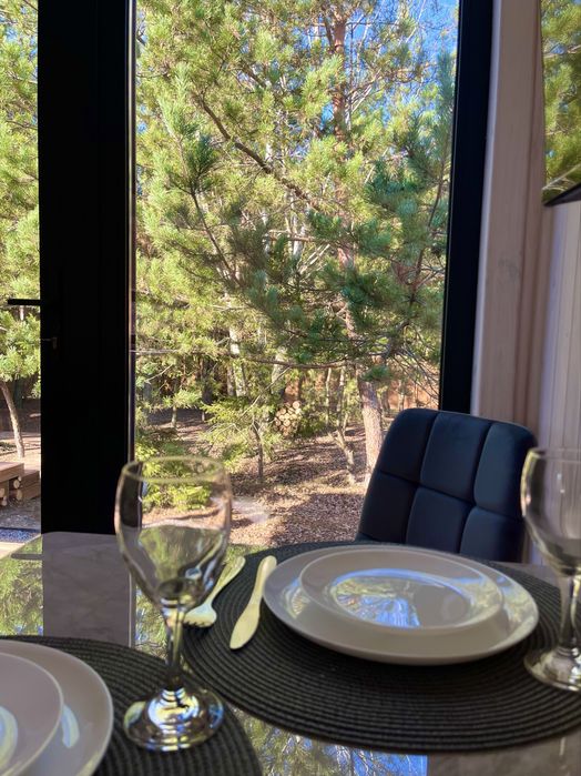 Будинок у сосновому лісі. Чан • Басейн • Генератор