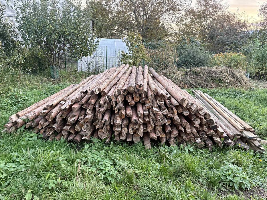 Stemple budowlane drewniane