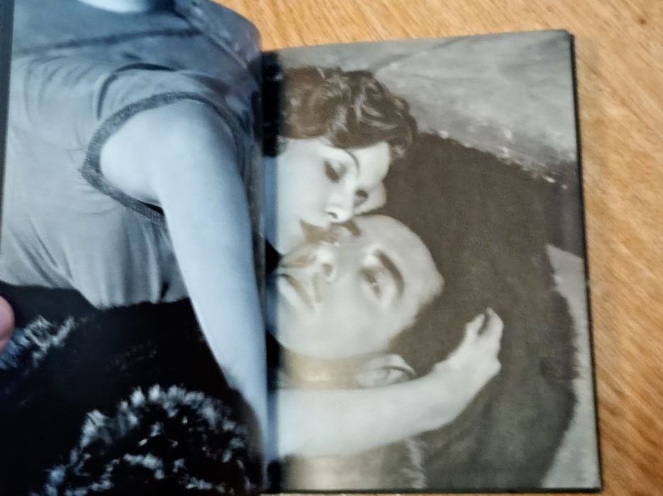 Greta Garbo livro com fotos