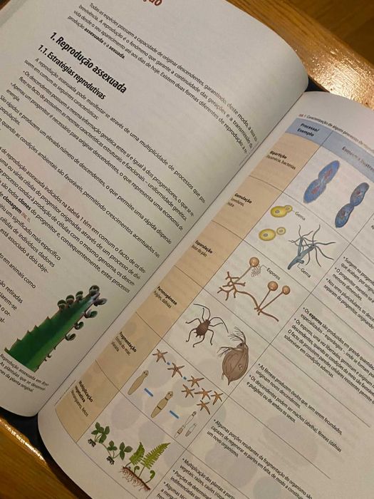 Preparação Exame Final Nacional | Física e Química e/ou Biologia 2019