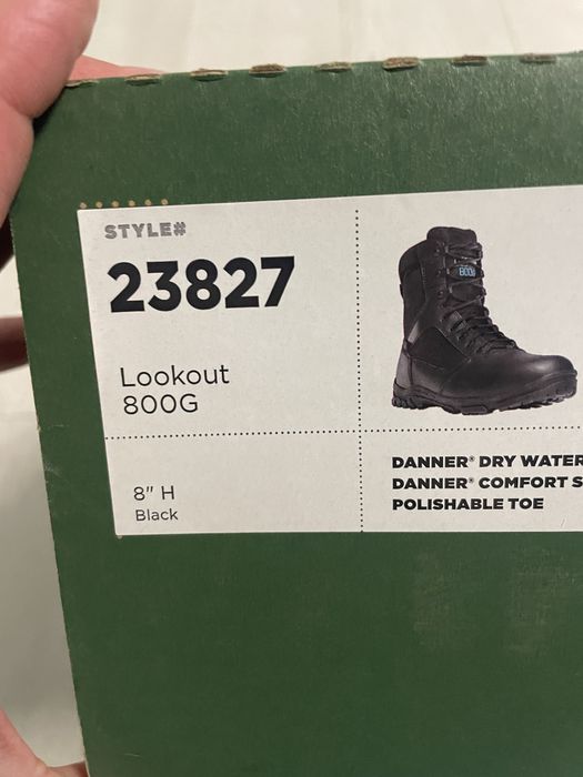 Зимові ботинки DANNER Lookout 800G