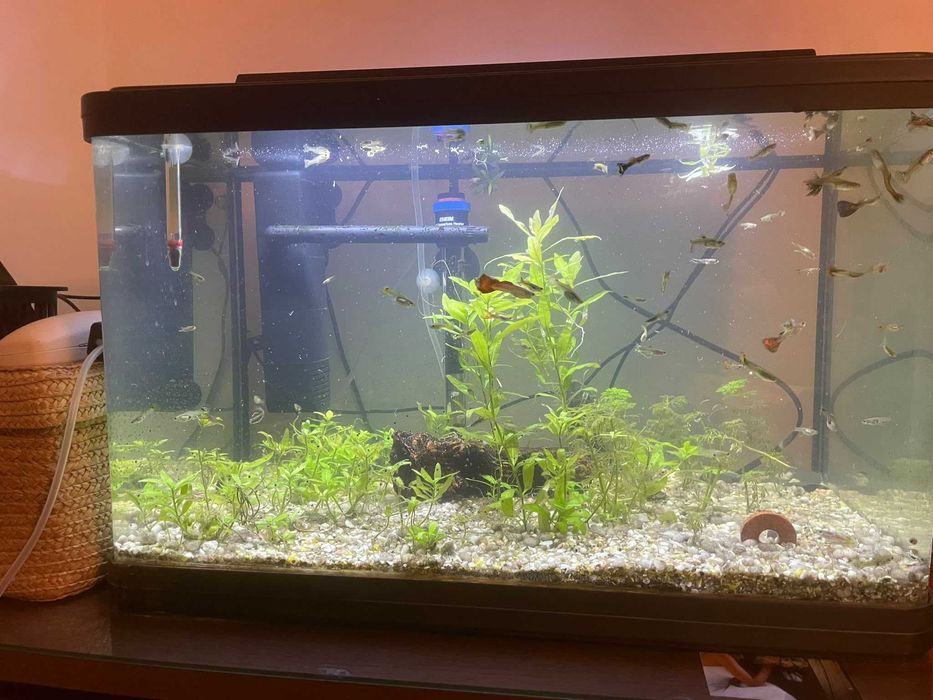 Vendo aquario completo